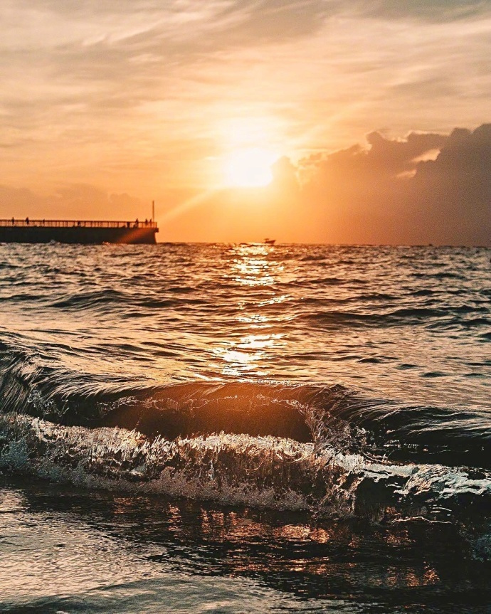 佛罗里达州的海边落日|来自于ins:kingcreeze
