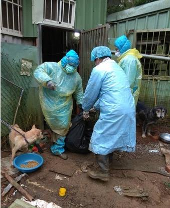 养殖场满地粪尿狗尸遍布