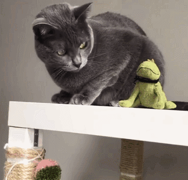 差评!看,这都是朕为你咬下的江山你最萌可以了吧!