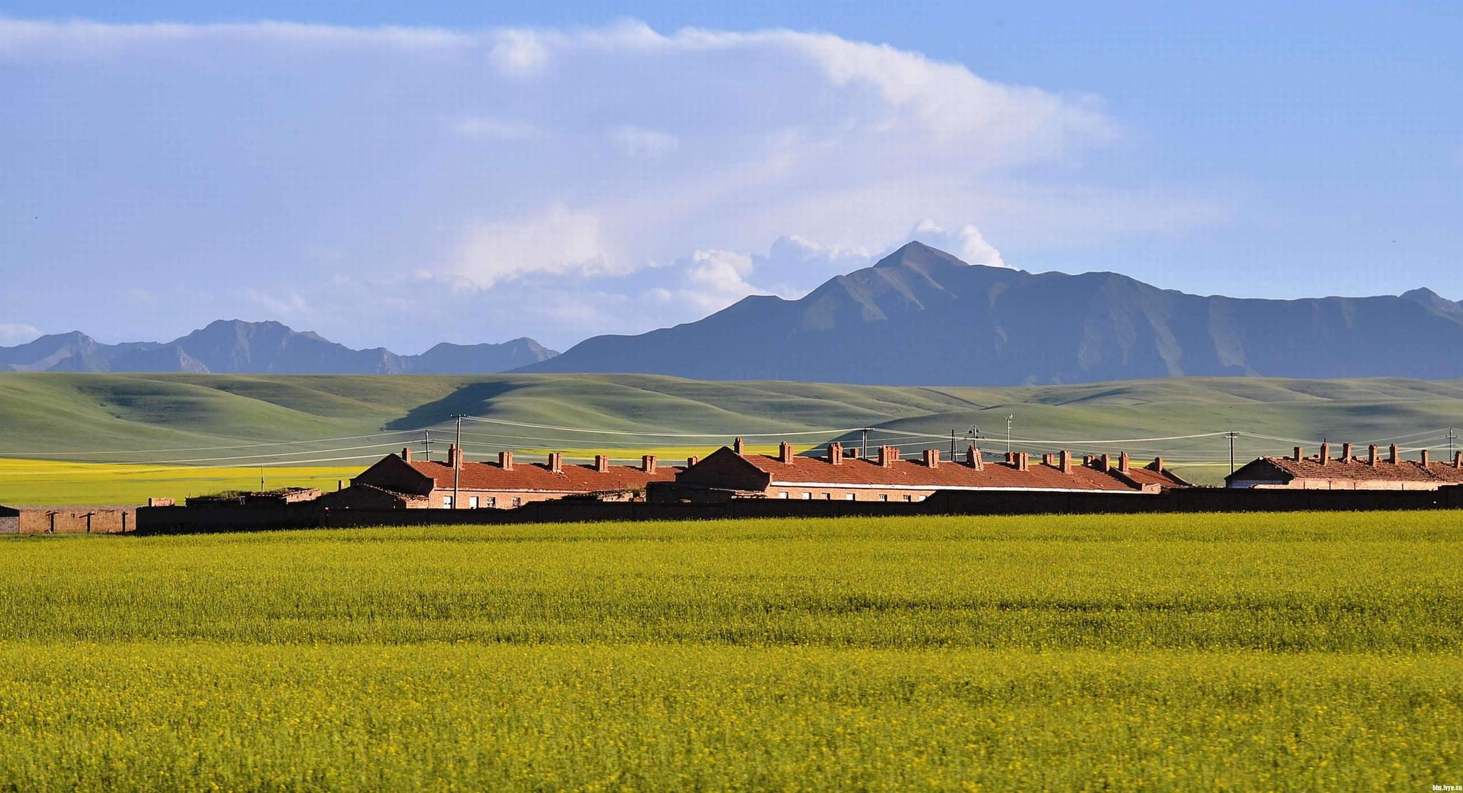 面积比两个香港还大,美景吸引众多影片来此拍摄|山丹军马场|马场|大军