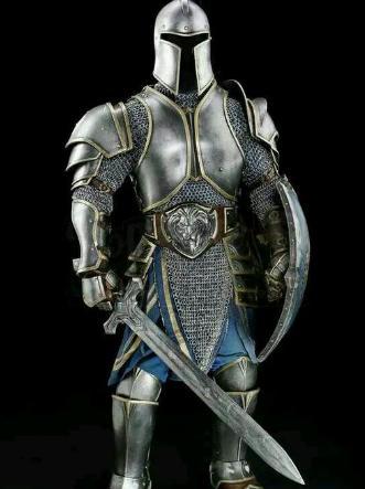 包含联盟卫兵装甲,联盟黄金狮子盾牌,艾泽拉斯彩色地图,迦罗娜匕首