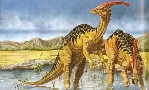 你身上可能有恐龙的原子