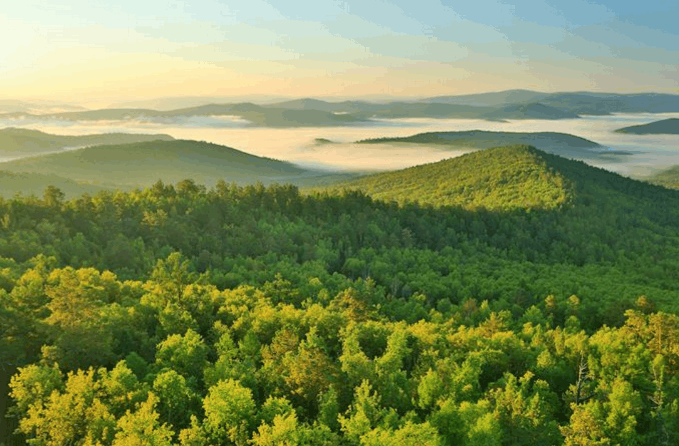 紧邻呼伦贝尔大草原的莫尔道嘎国家森林公园大自然的天然氧吧