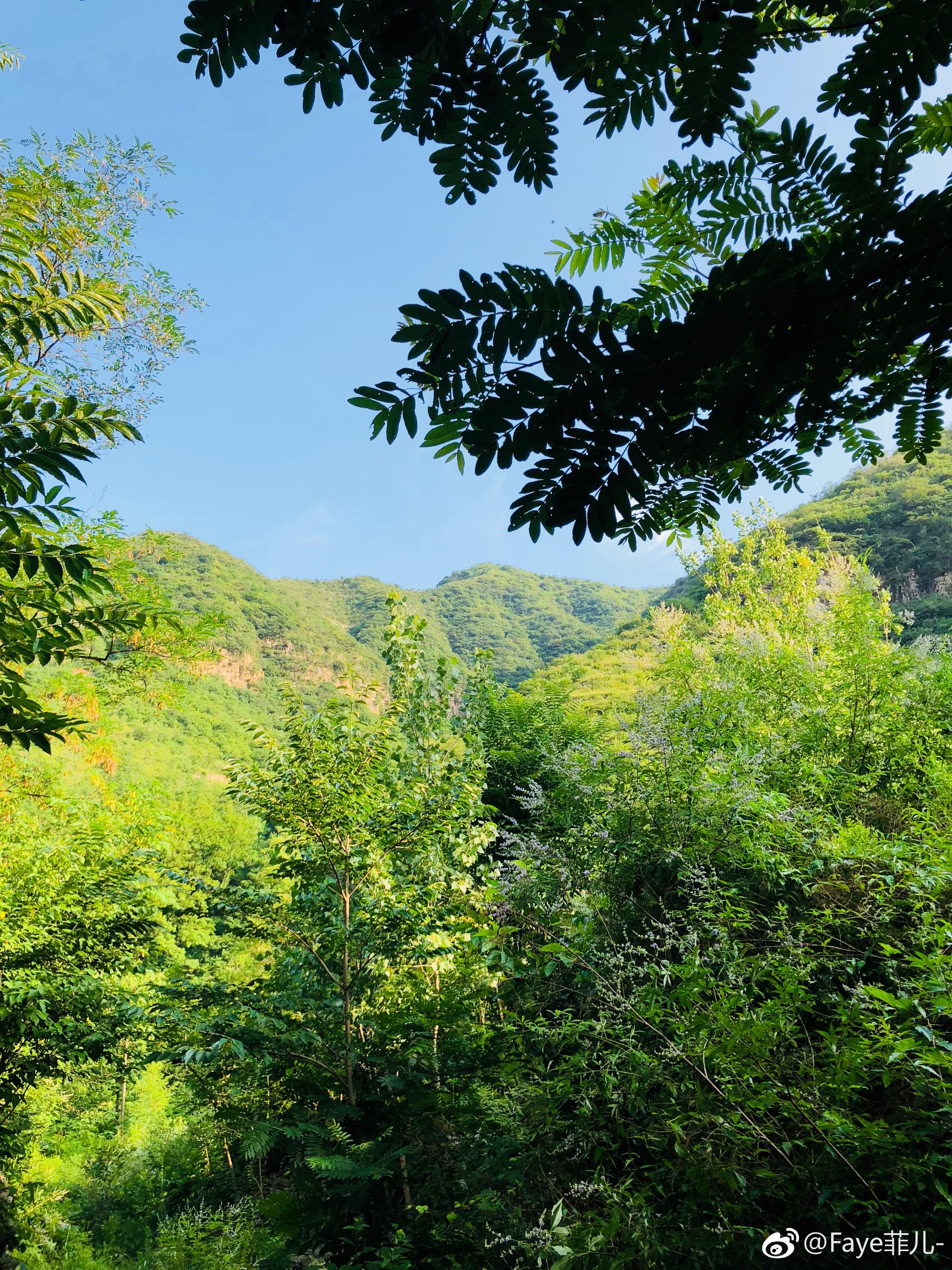 大山深处的美景