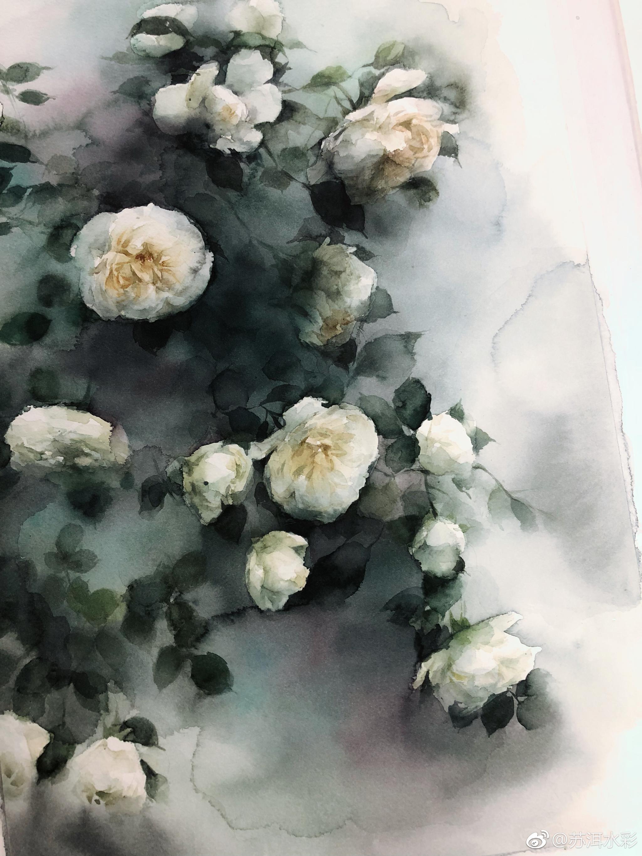 阿诗细纹四开画笔:叶蝉颜料:大师级史明克投稿(@苏洱水彩) 67