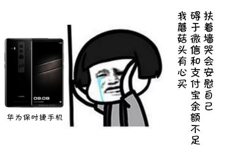 蘑菇头表情包买不起华为保时捷手机的蘑菇头改变自己实现梦想