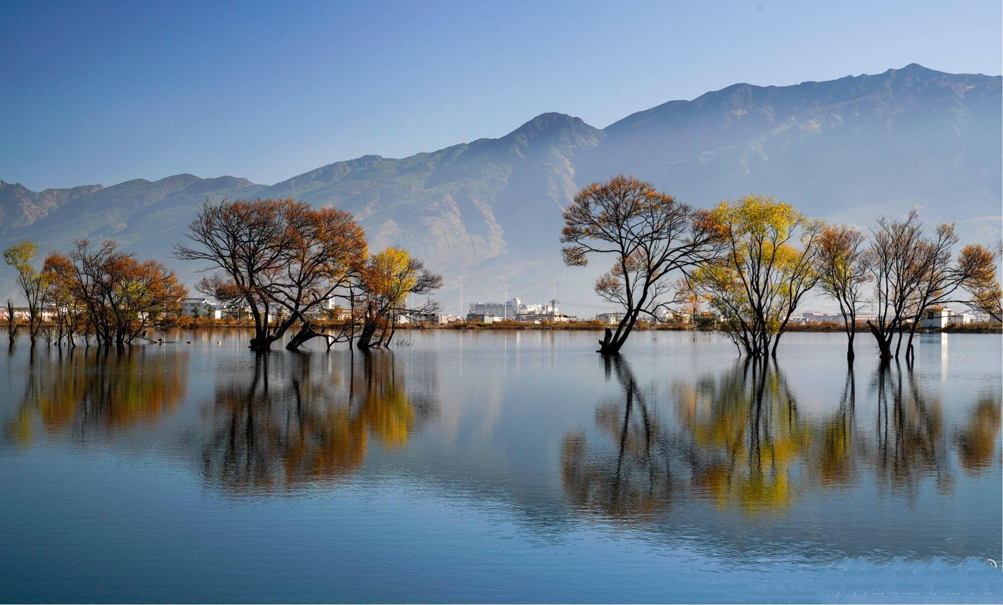 大理鹤庆黄龙潭之秋,真是美极了!