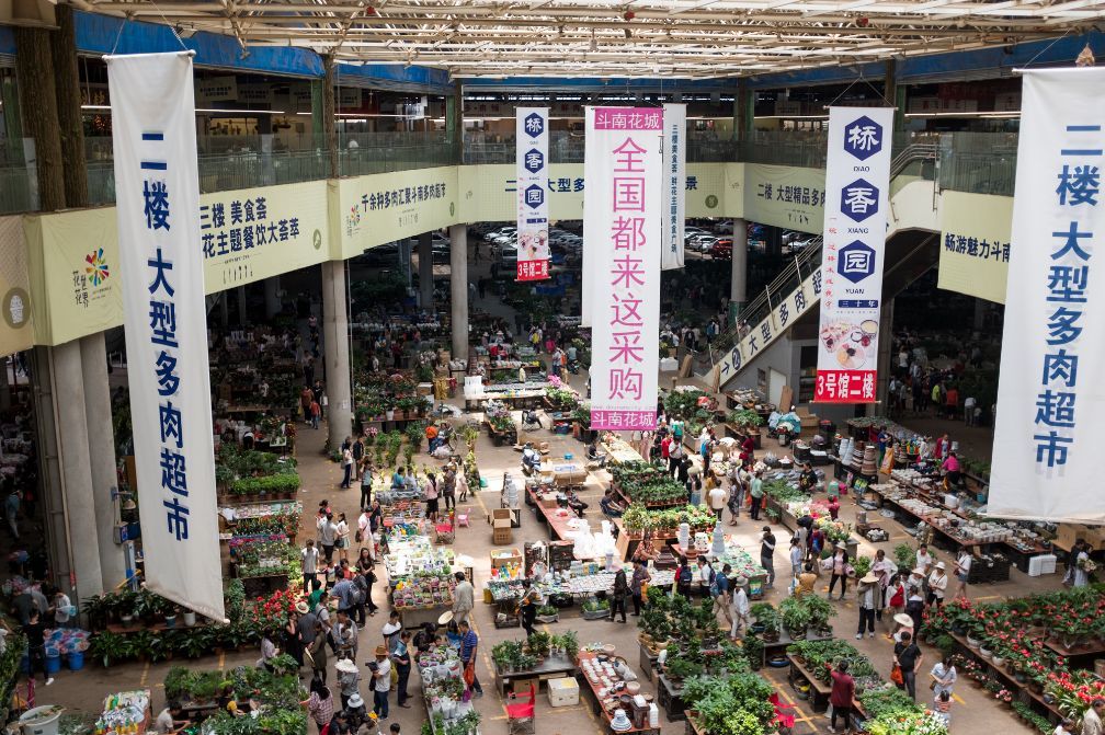 实拍云南昆明亚洲最大花卉交易中心,鲜花论斤卖,一支玫瑰一毛钱