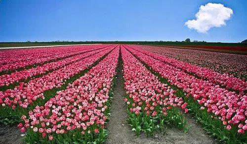 八条感悟人生的经典句子,句句精辟