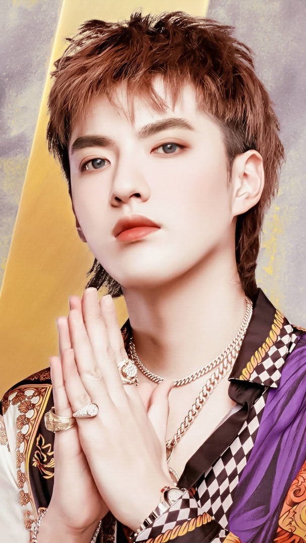 只有吴亦凡的老婆才能打卡点赞 ¨