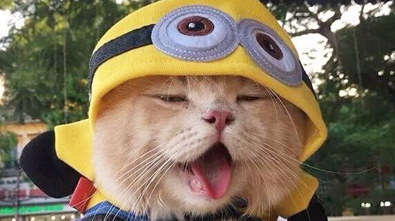 搞笑段子:这绝对是一个有才的老板!