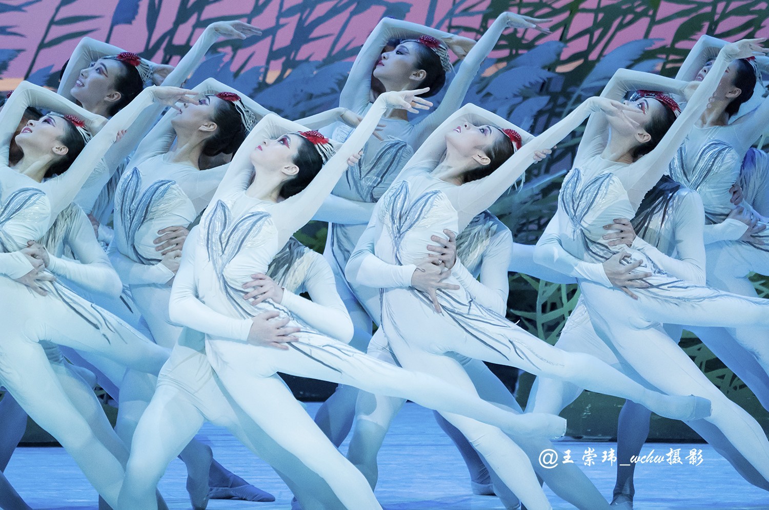 中央芭蕾舞团演出中国芭蕾舞剧鹤魂