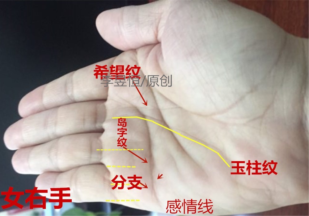 手相中出现通天纹，事业有成，富贵自天来！|手相_新浪新闻