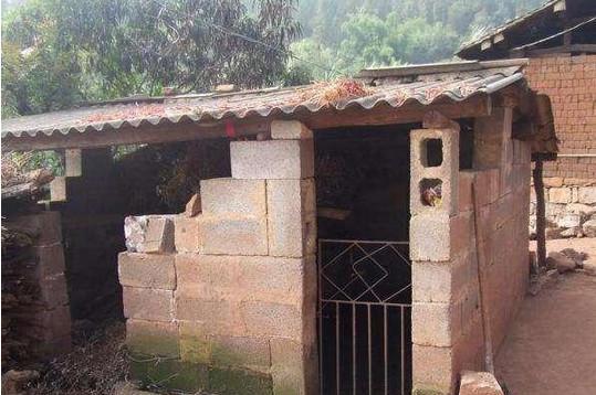 农村的5种罕见厕所, 最后1种, 你敢上吗?