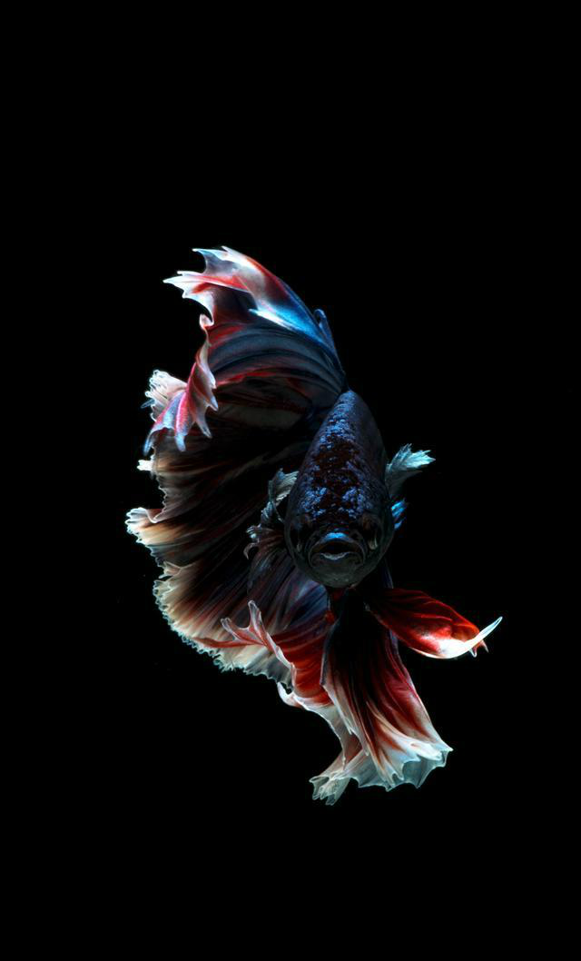 一黑到底系列,适合黑边框手机的节能省电手机高清壁纸,二