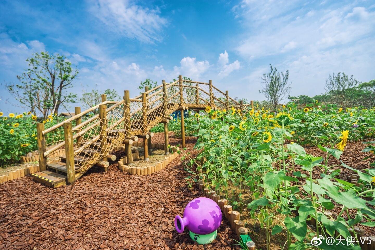 不论是大朋友还是小朋友,都来无锡阳山田野乐园遇见自己的田野童心吧