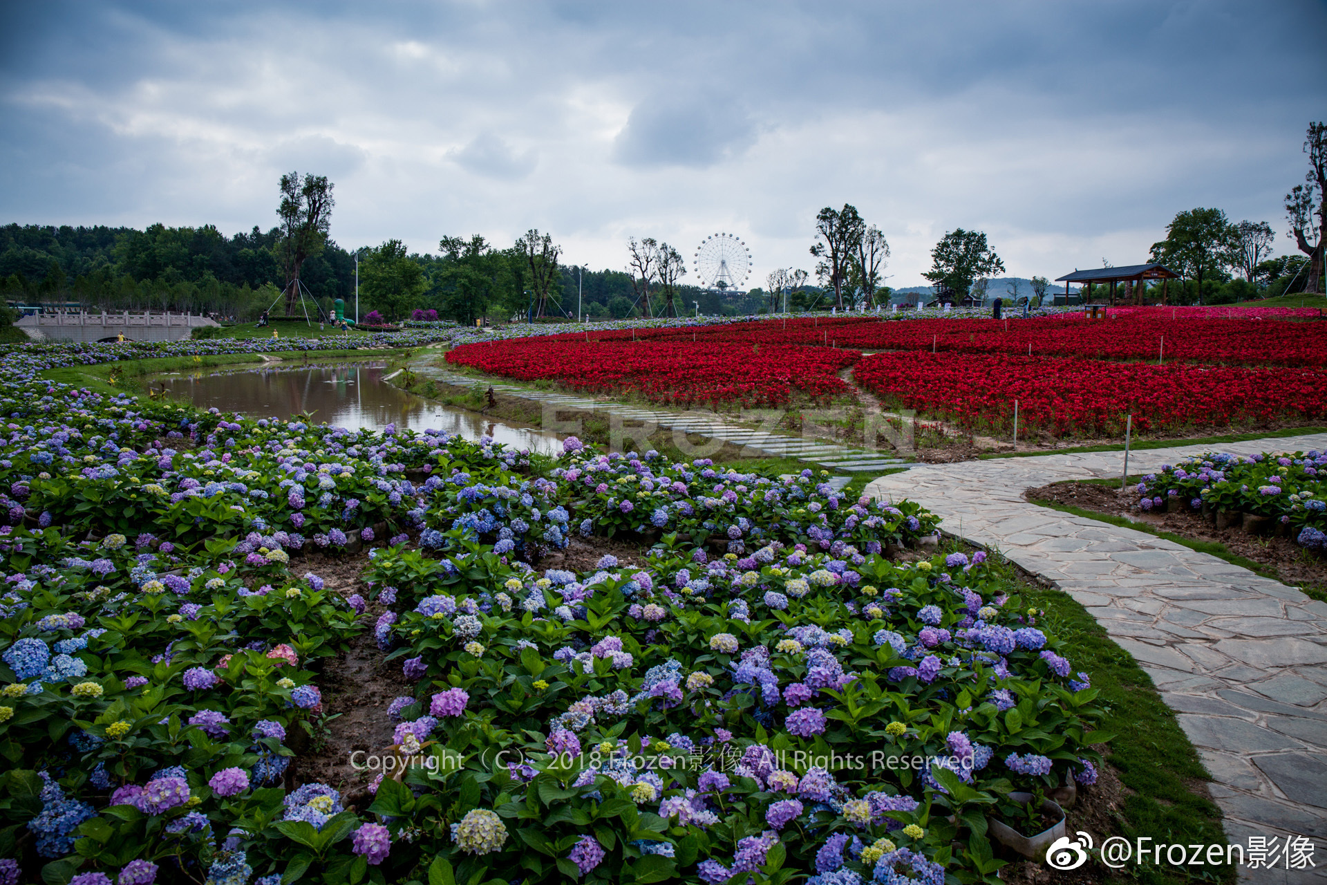 黄陂新去处木兰花乡