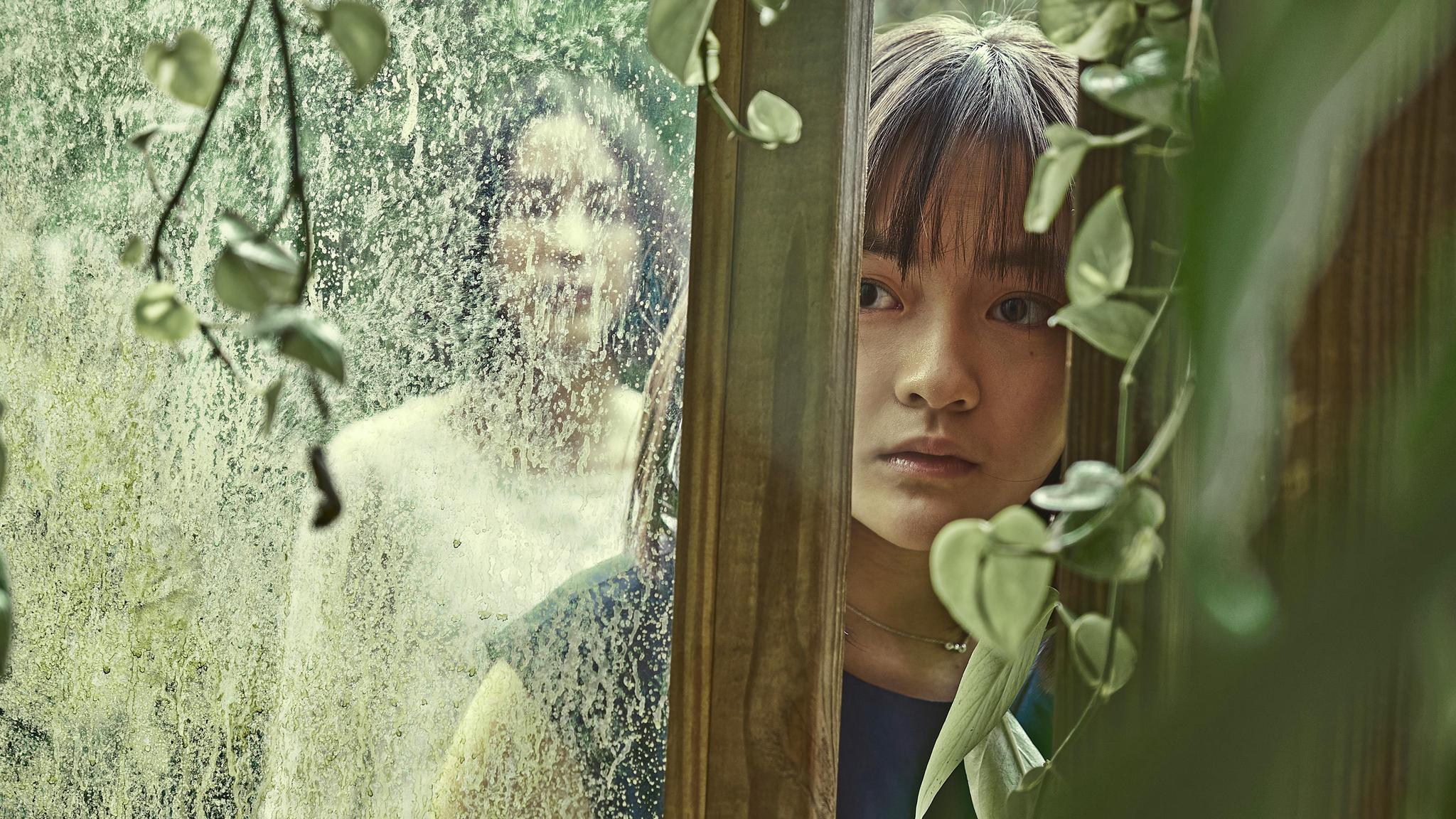 血观音|金马奖|文淇_新浪新闻