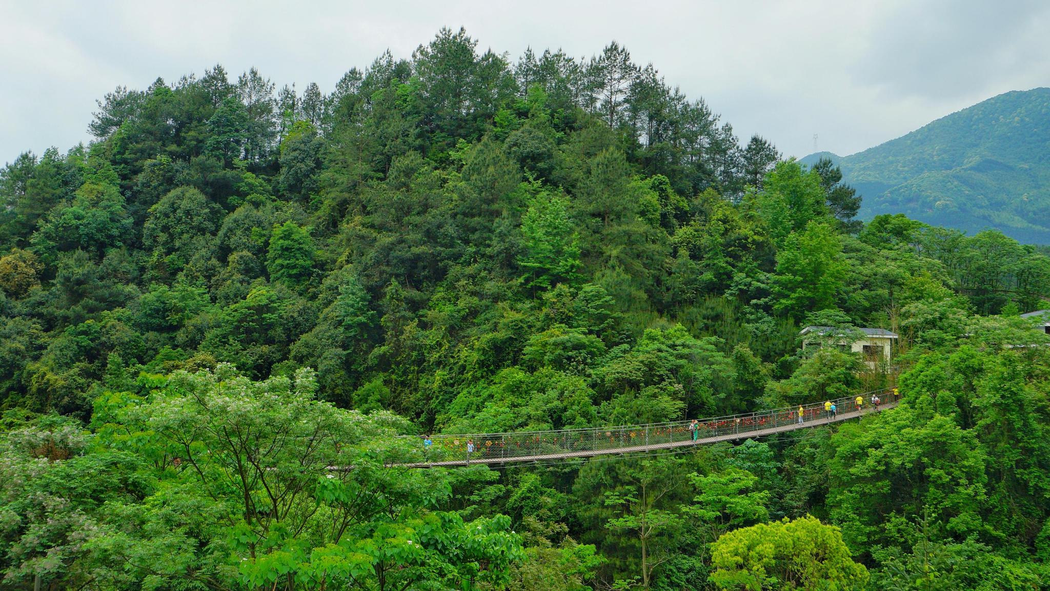 江西这个景区有两处"绿野仙踪"般秘境,有些人是不敢去这里