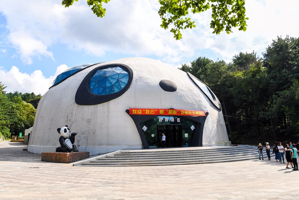 熊猫姐妹花飞抵长春 安家东北虎园 8月24日与市民见面