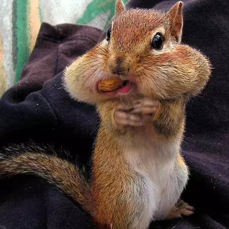 开心一刻笑话交了一个大长腿男朋友昨天他带我去见家人