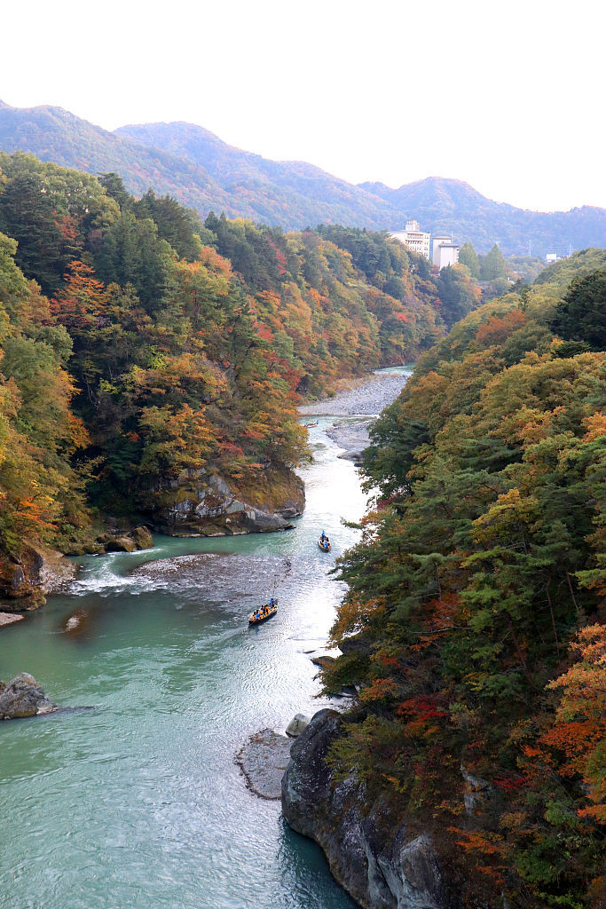 实拍日本栃木县日光市秋景 游人乘船欣赏沿途风光