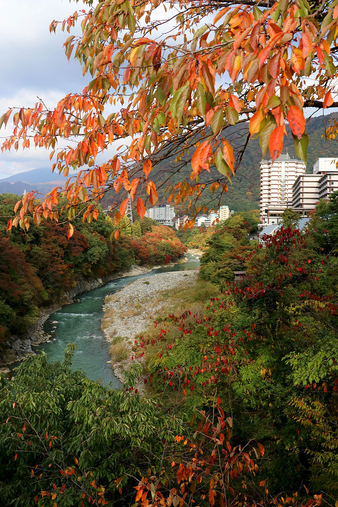 实拍日本栃木县日光市秋景 游人乘船欣赏沿途风光