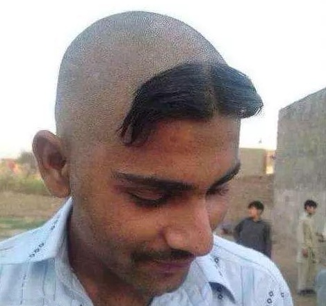 搞笑图片:这个发型很特别