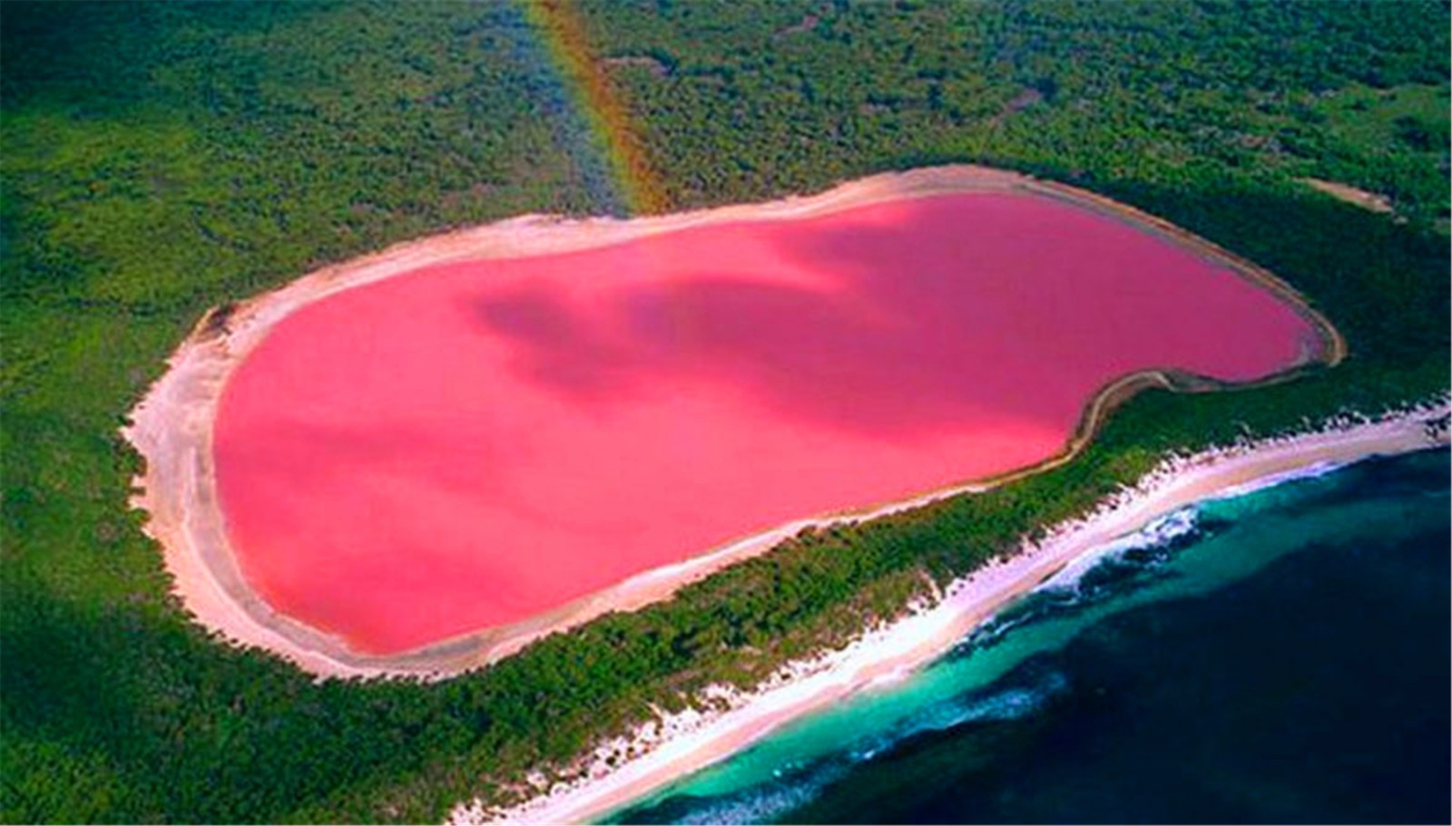 粉色湖泊!澳大利亚最独特的天然奇景,形成原因至今还是个谜!