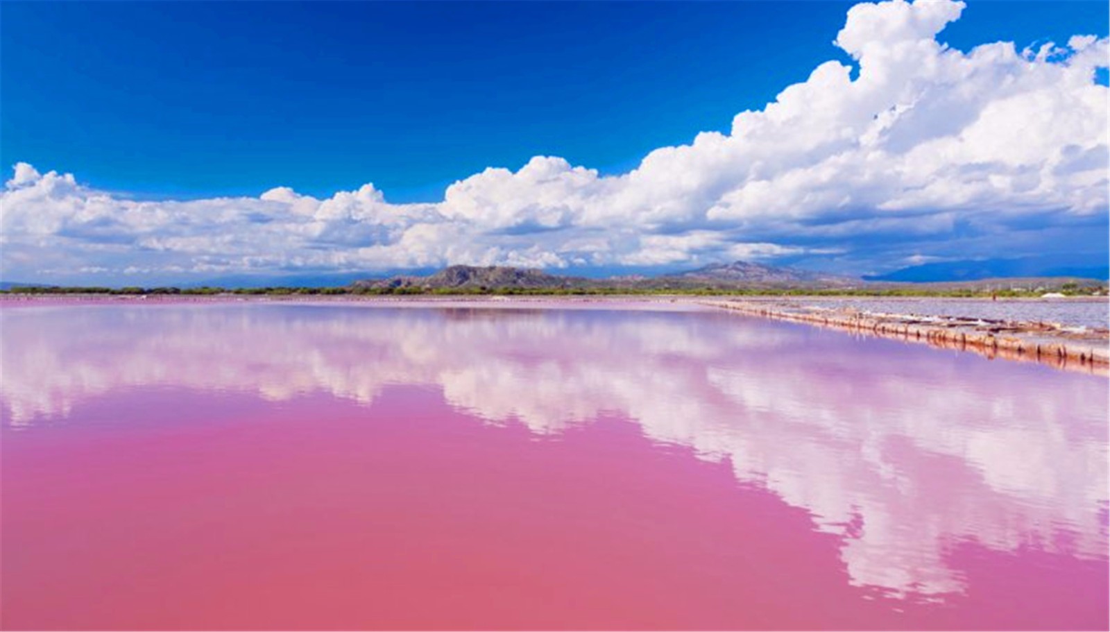 海盗船长游戏规则