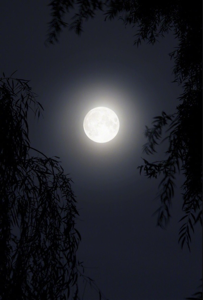 夜来急雪打船窗,今夜推窗月满江