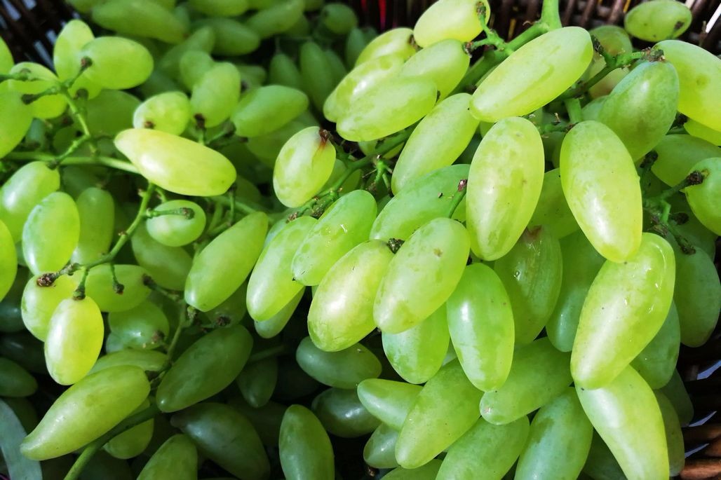 今天第一次在水果商店见到新上市的金手指葡萄了,这种看起来青色的