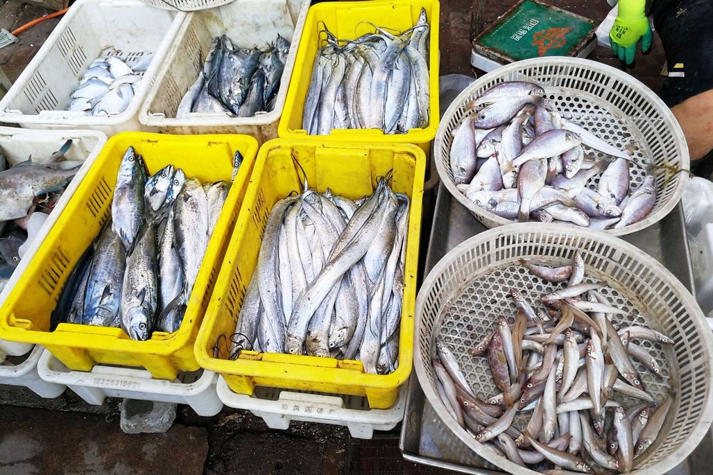 开渔逢财神节 海鲜丰富价格稍高遭抢购 卖嘎啦老夫妇忙的直不起腰