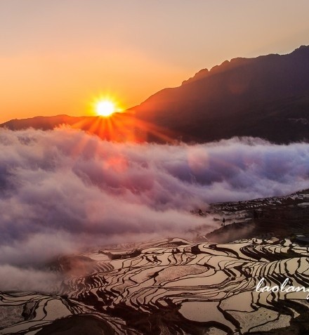 紫气东来鸿运到,万里祥云吉祥绕