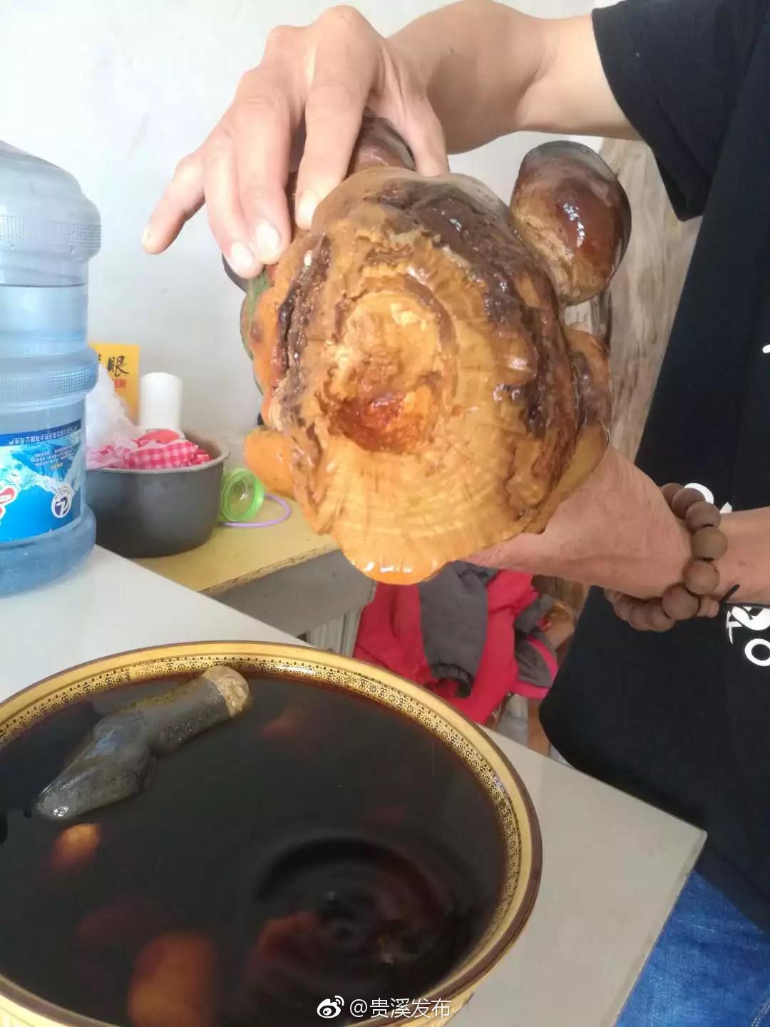 贵溪惊现罕见太岁肉灵芝!重达2000克!价值20万