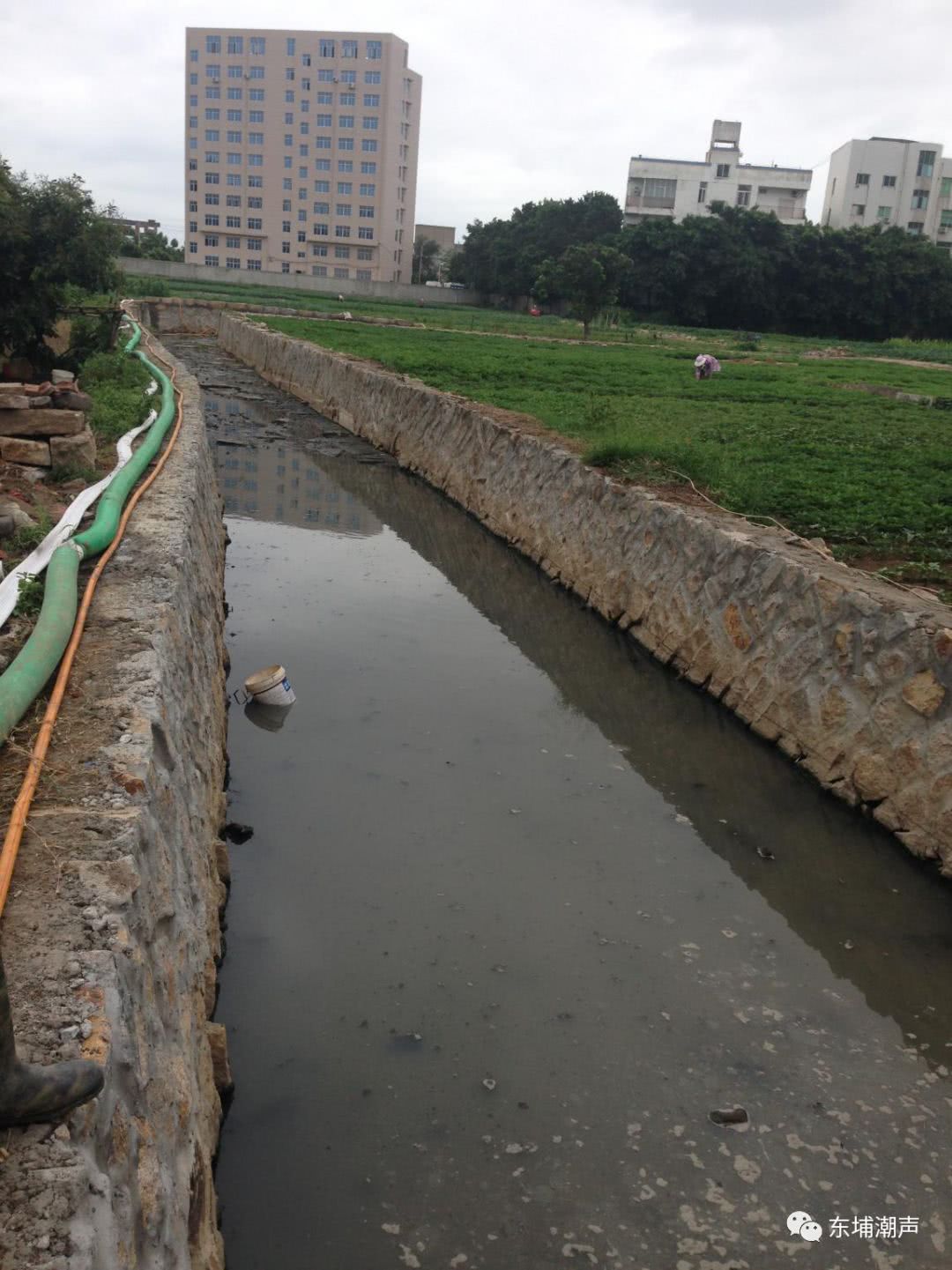 东埔镇:还记得东埔社区恶臭的排洪沟吗?如今大变样了!