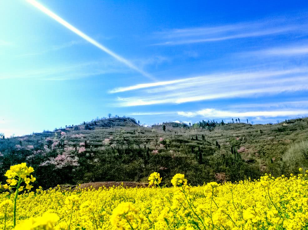巩义万亩油菜花开惹人醉,我在水道口等你来