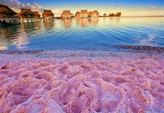 世界上最美丽粉沙海滩,柔和粉沙与浅显海水形成鲜明对比