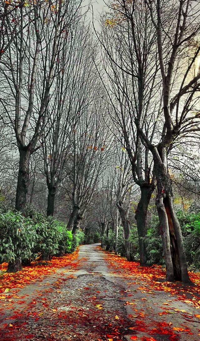 玩具总动员2下载