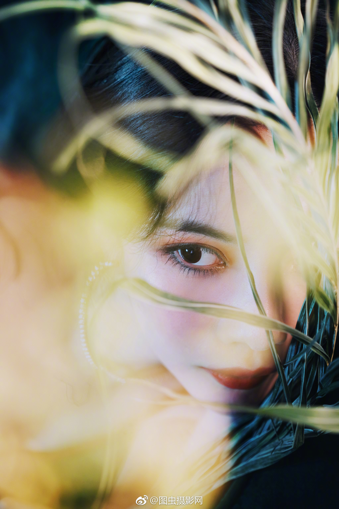 凌晨四点钟,我看见海棠花未眠 总觉得这时,你应