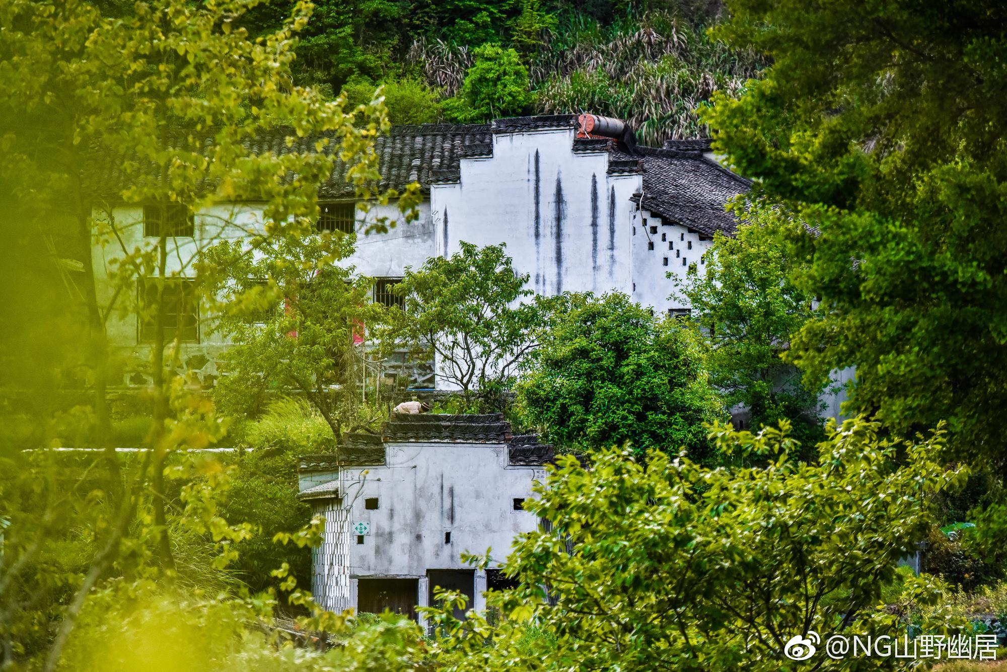 牯牛降严家古村不仅仅是一座古村落简直就是一处仙境般的胜景嘛