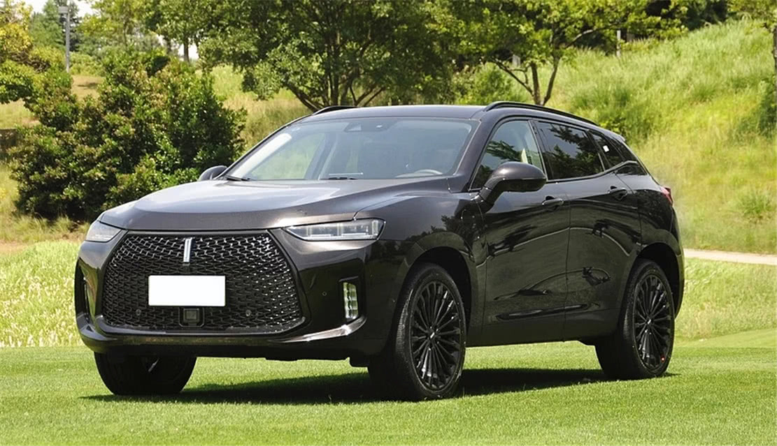 长城最贵suv,补贴前近30万,全系标配四驱,一看油耗,确实牛-新浪汽车