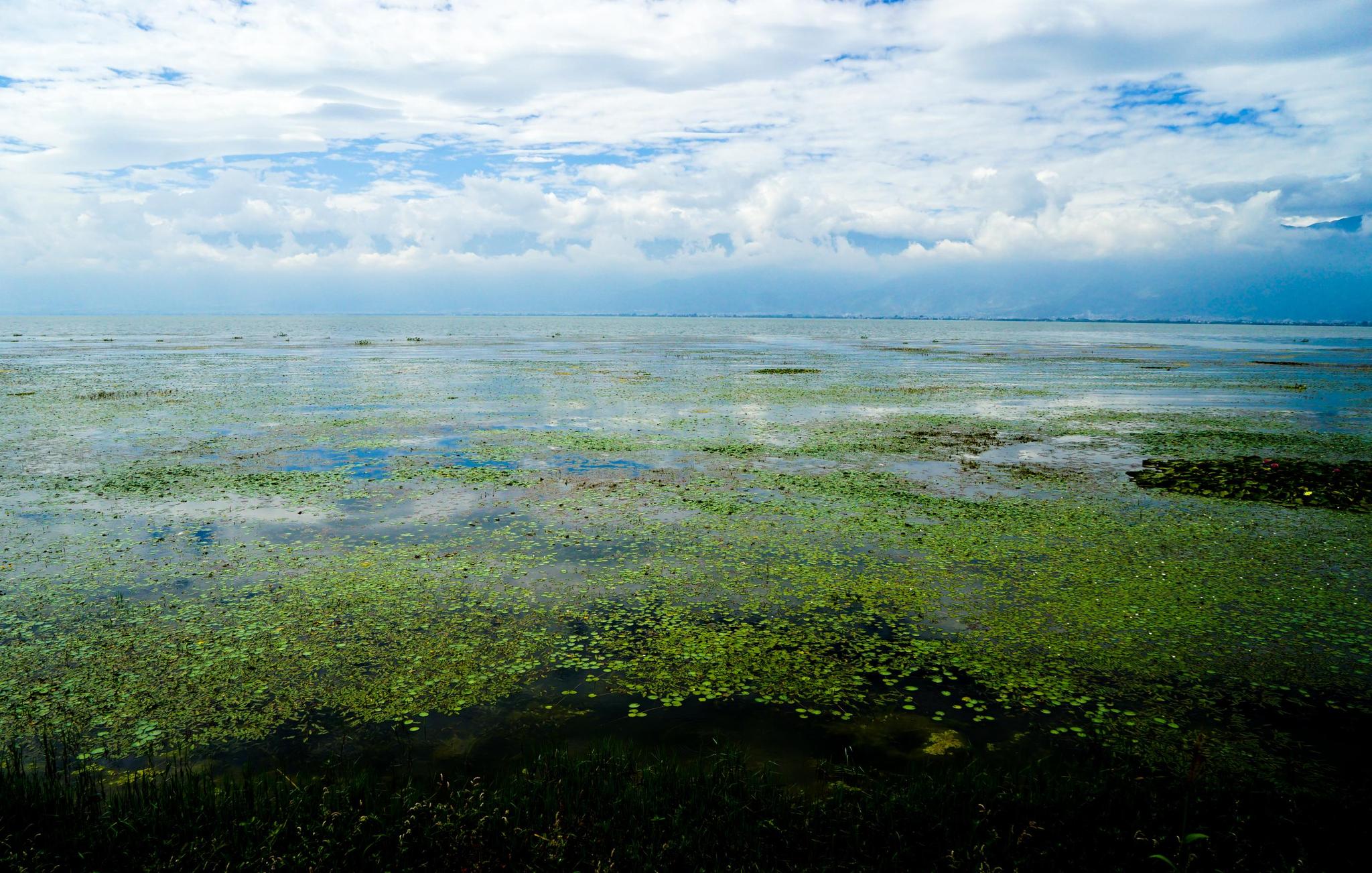 环洱海的2500多家餐饮民宿被关停2498家游客少了但大理更漂亮了