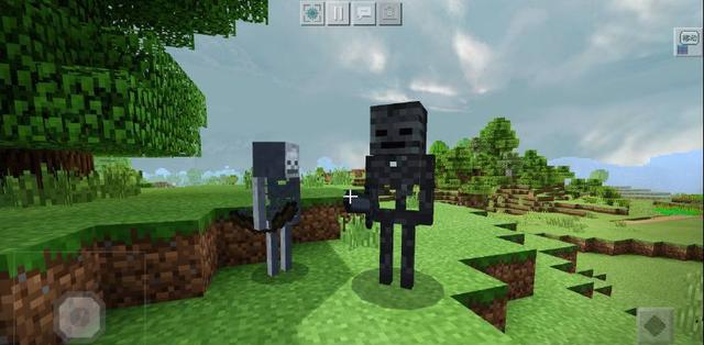 五,凋灵骷髅——"煤矿工"