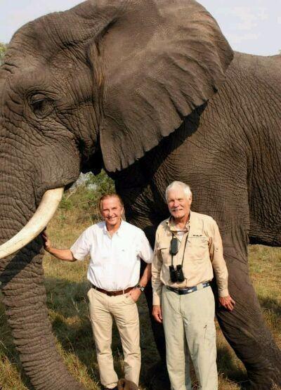 大象妈妈给小象报仇, 瞬间把非洲水牛挑向空中, 网友: 震撼