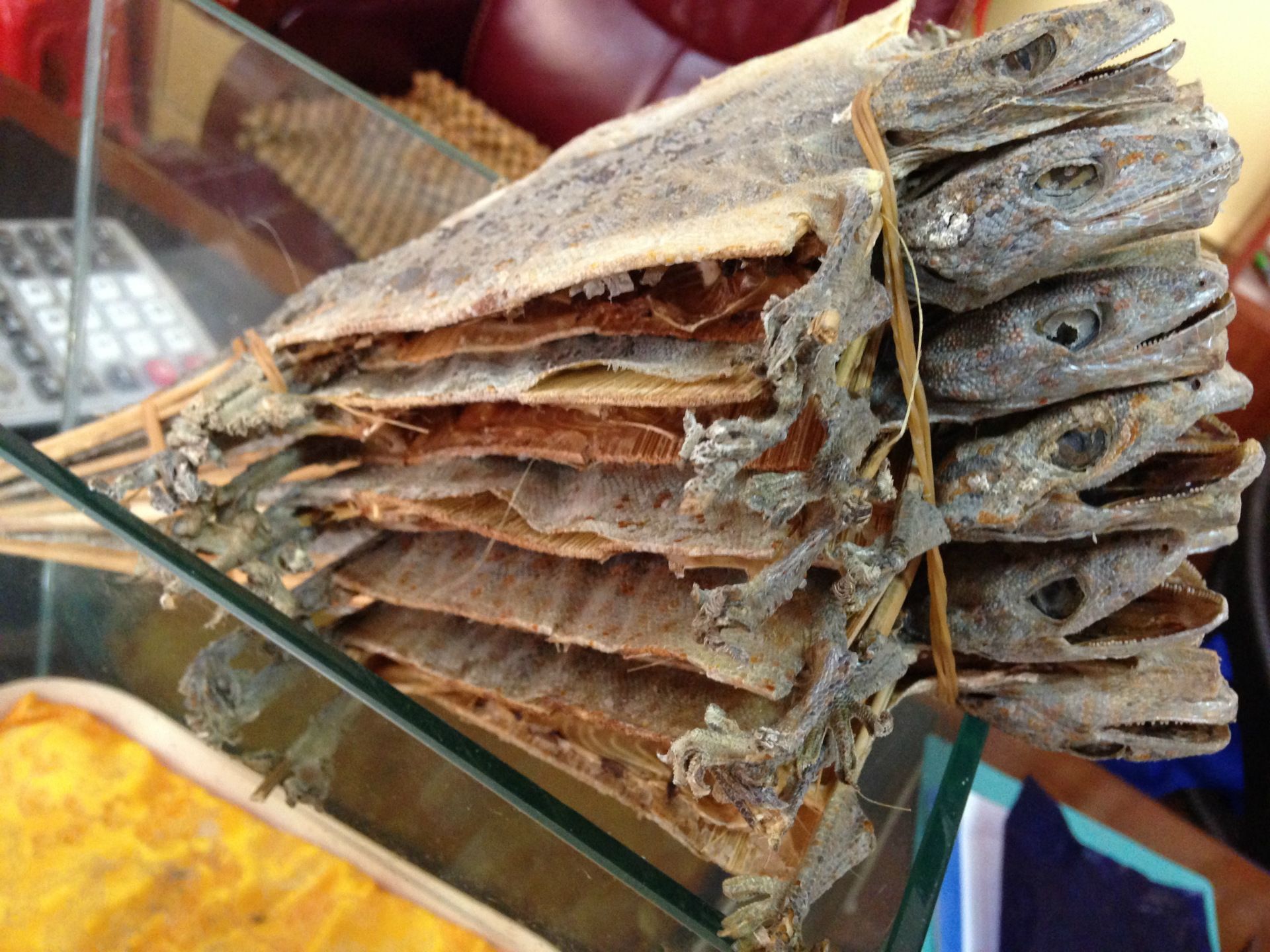 每天学一味中药:蛤蚧—补肺气 益精血 止喘嗽 疗肺痈消渴 助阳道