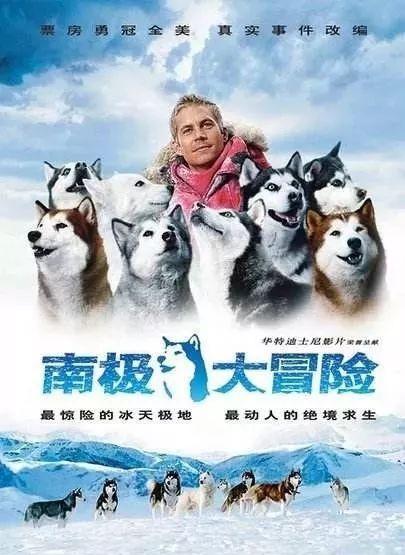 狗年的正确打开方式:看看电影 撸撸狗