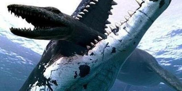 霸王龙|滑齿龙|恐龙_新浪新闻