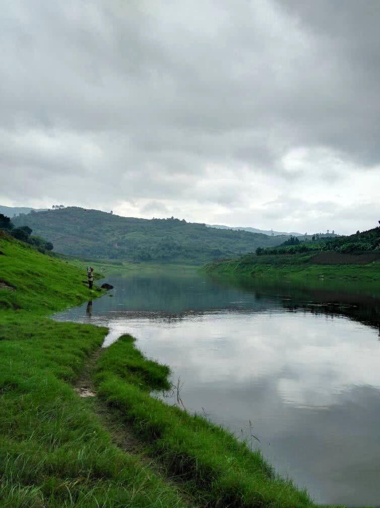 野河沟夜钓黄辣丁一晚上几十条真是安逸