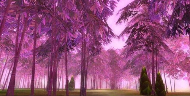 你可知道南海观世音菩萨普陀山紫竹林它原来是在这里拍摄的